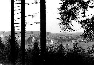 Blick vom Ziegelbach durch den Wald auf Oberhaugstett